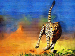 豹子油画