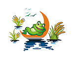 青蛙 水稻 鄱阳湖
