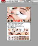 韩式孕睫术海报