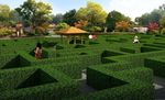 新农村改造植物迷宫