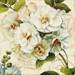 欧式白玫瑰花装饰画