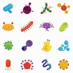 细菌病毒卡通造型素材