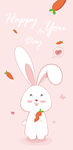 小兔子 粉色背景