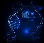 矢量DNA技术分子图象
