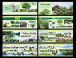 园林画册 绿化 园林 假山