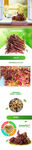 生鲜蔬菜香椿详情创意海报设计