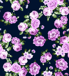 紫蓝色玫瑰花