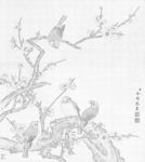 余稚花鳥圖冊白描底稿臘梅