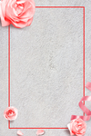 简洁粉玫瑰情人节海报背景