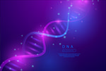 基因链紫色