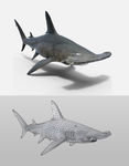 锤头鲨鱼3D模型