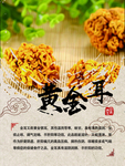 中藥養(yǎng)生版面