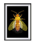 蜜蜂装饰画