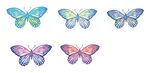彩色矢量蝴蝶图案