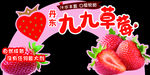 草莓异形KT展板