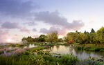 湖滨生态湿地公园效果图