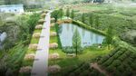 鄉(xiāng)村景觀池塘綠化鳥瞰效果圖