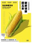 玉米
