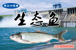 丹江口水庫(kù)生態(tài)魚(yú)