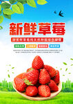 新鲜草莓海报