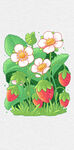 手绘植物草莓花
