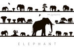 野生动物大象唯美剪影插画