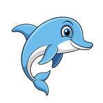 矢量动物海洋生物海豚