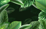 简约清新手绘热带植物背景