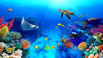海底世界珊瑚热带鱼背景