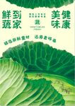 蔬菜海報(bào)