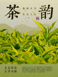 茶文化海報(bào)