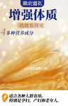 魚膠宣傳海報