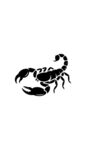 簡約黑色蝎子圖案設(shè)計(jì)