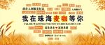 我在珠海等你來