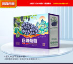葡萄包裝 巨峰禮盒