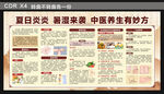 中醫(yī)夏季養(yǎng)生