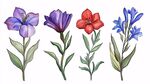 四色花卉水彩插畫