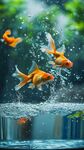 金魚躍出水面的靈動(dòng)瞬間
