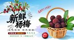 新鮮楊梅