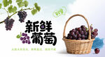 新鮮葡萄