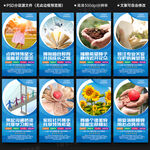 特殊教育 學(xué)校展板