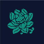 青色蓮花圖案