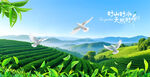 茶山