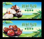 馬蹄
