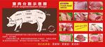 豬肉分割示意圖