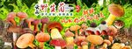 野生菌廣告