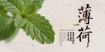 薄荷