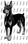 站立杜賓犬黑白插畫