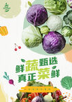 蔬菜海報(bào)
