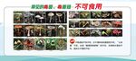 常見毒蘑菇